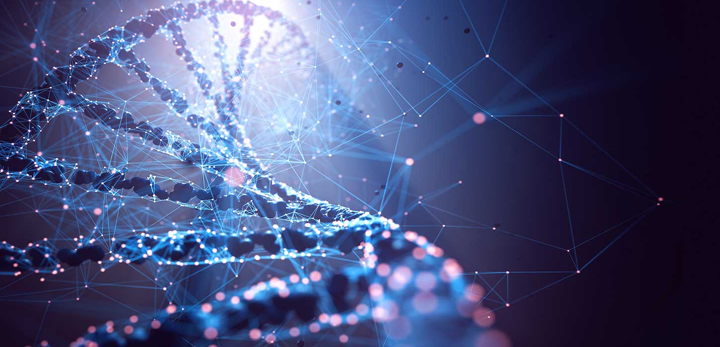 A dynamic illustration of a human DNA strand, referring to physiology.